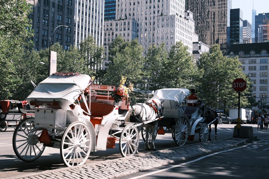 City Council Votes 40-7 to End Central Park Carriages by 2028